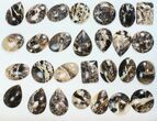 Lot: Polished Madagascar Black Opal Pendants - Pieces #138977-1
